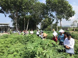 Trung tâm Khuyến nông tỉnh Gia Lai tổ chức lớp tập huấn kỹ thuật ph...
