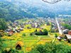 Vận dụng cách tiếp cận quốc tế vào quy hoạch nông thôn Việt Nam 